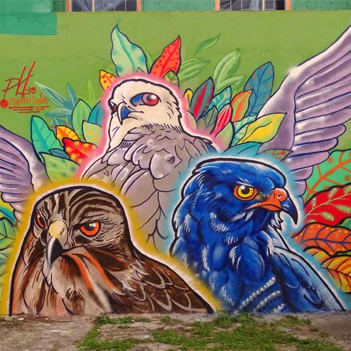 portafolio aves Artista emergente - hologramas locales