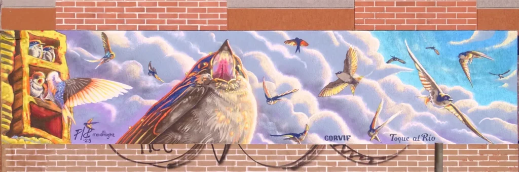 portafolio fondo Artista emergente - hologramas locales